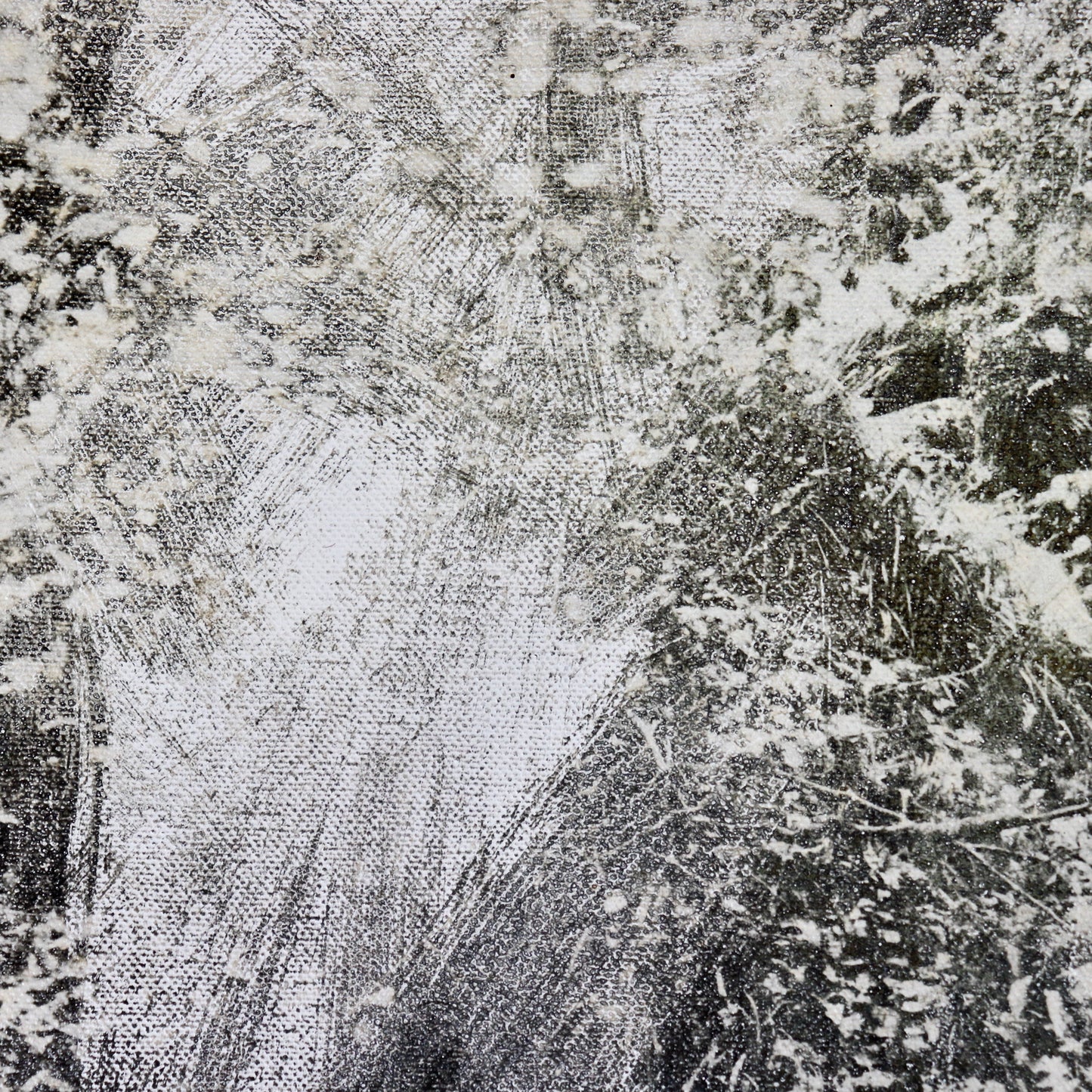 Untitled (Photograph on Canvas)