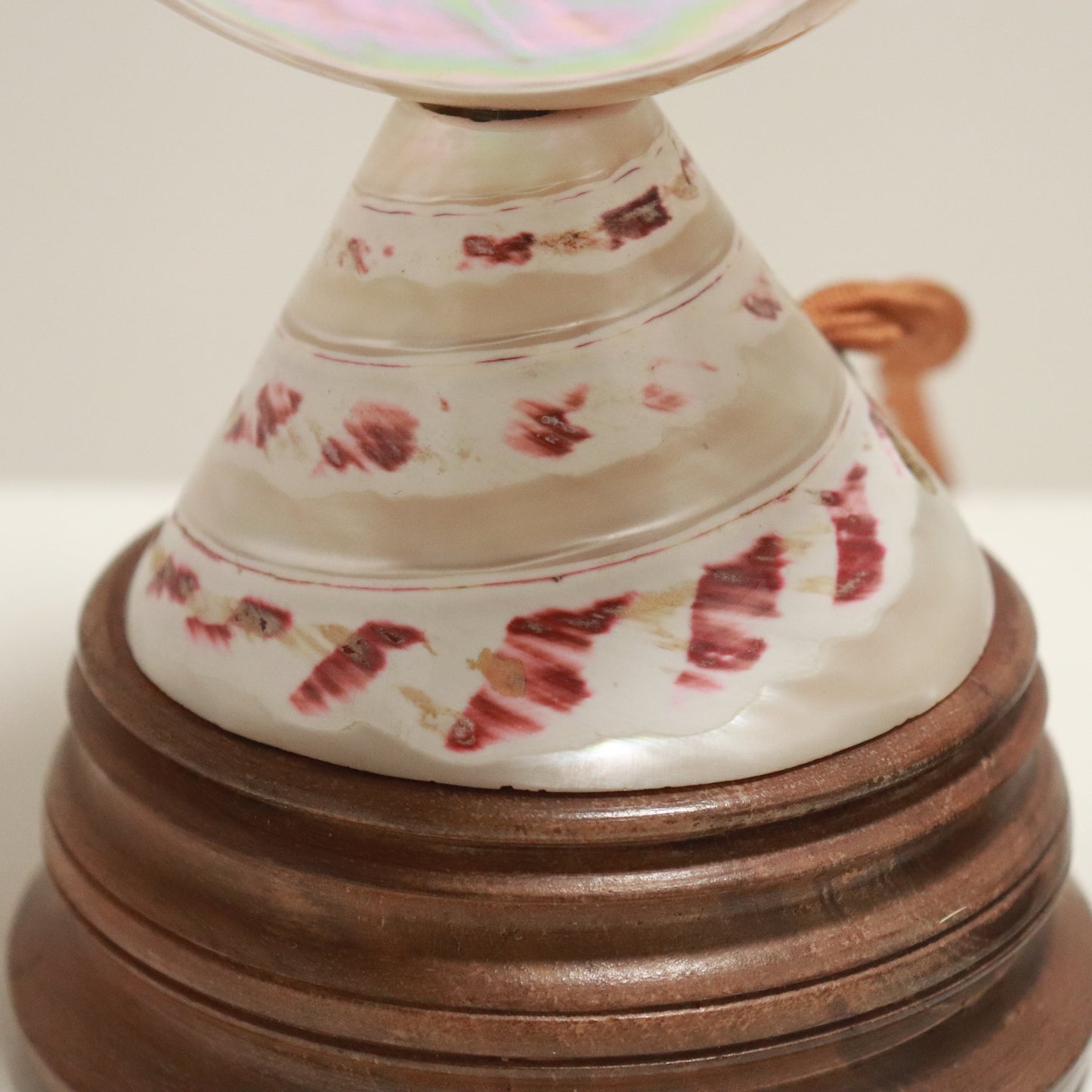 Inscribed Shell Lamps