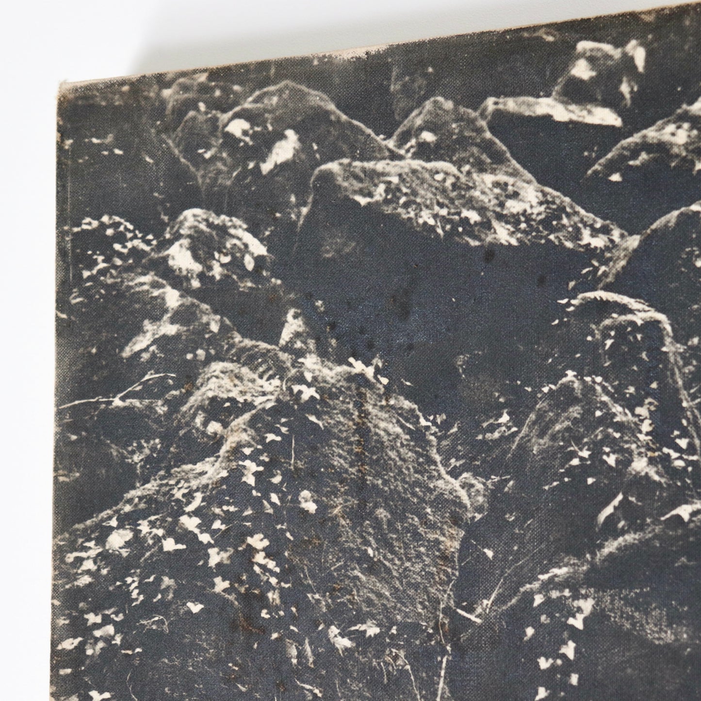 Untitled (photograph on canvas)