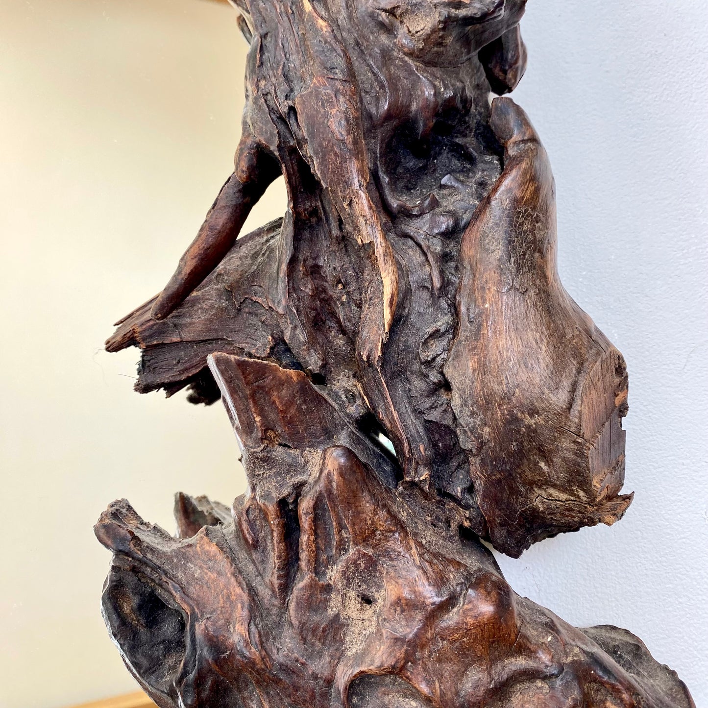 Gnarly Vine root mirror