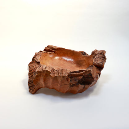 Polished interior of monumental carved wood bowl