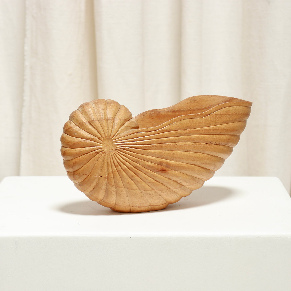 Carved wooden shell catchall with radiating grooves, side view