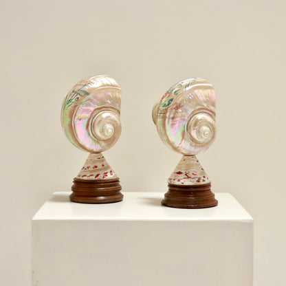 Inscribed Shell Lamps