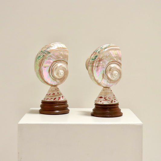 Inscribed Shell Lamps