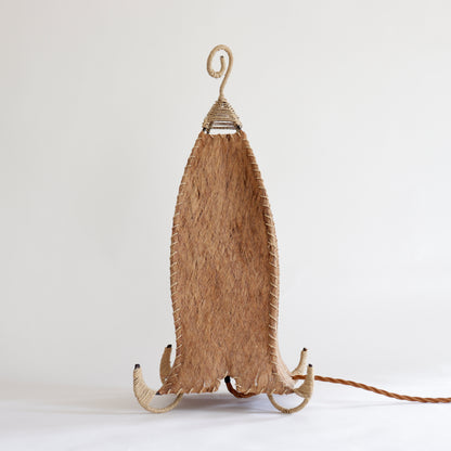 Sculptural Coir lamp