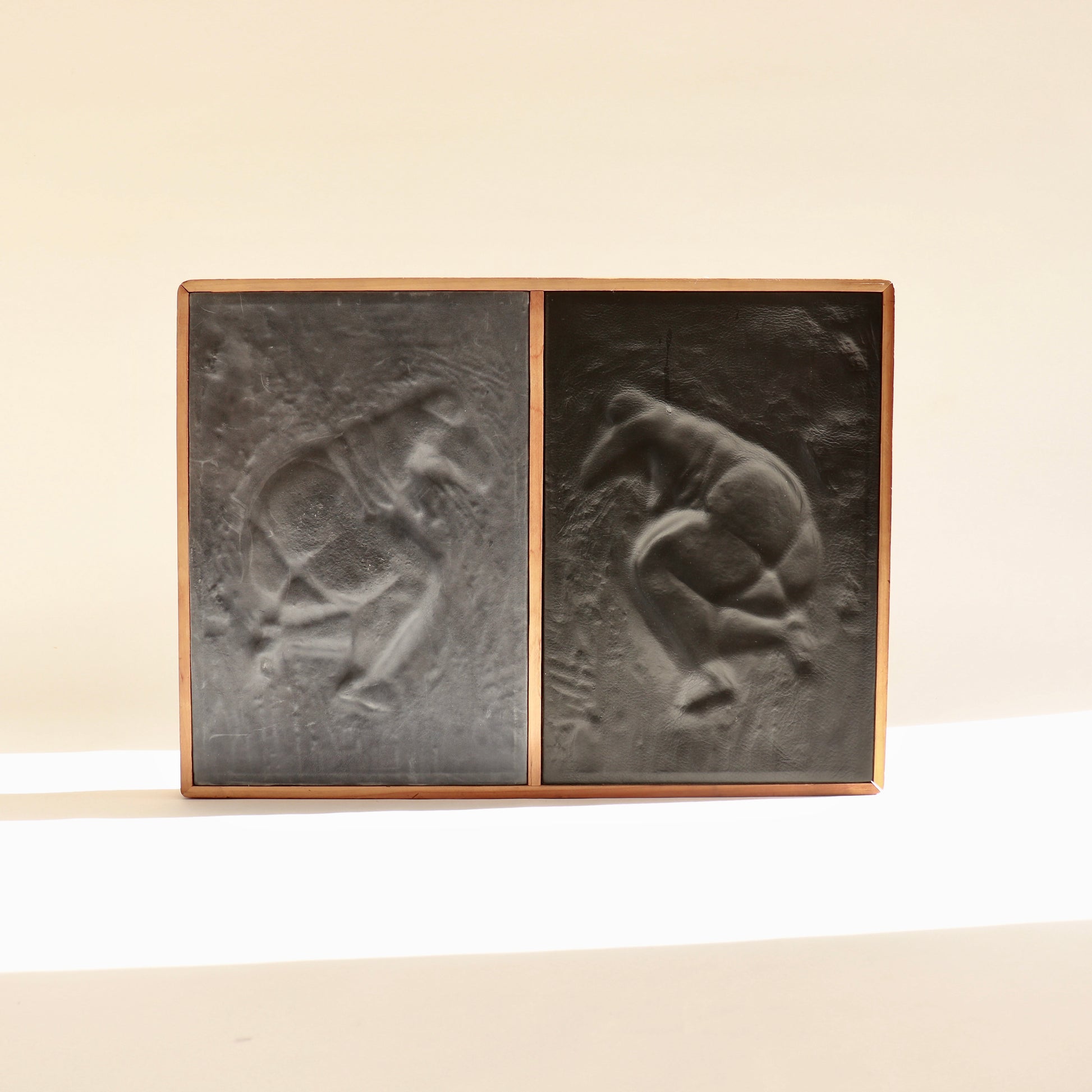 Abstract figurative leather wall panels diptych