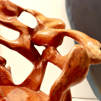 Detail of polished root wood and natural organic grain
