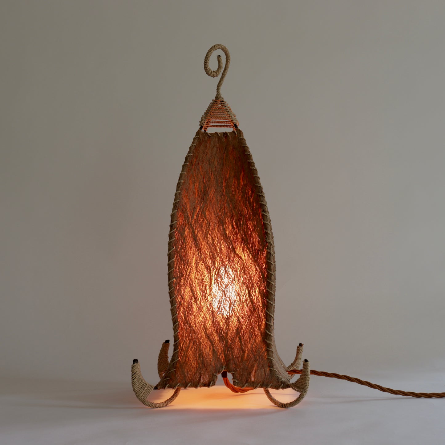 Sculptural Coir lamp