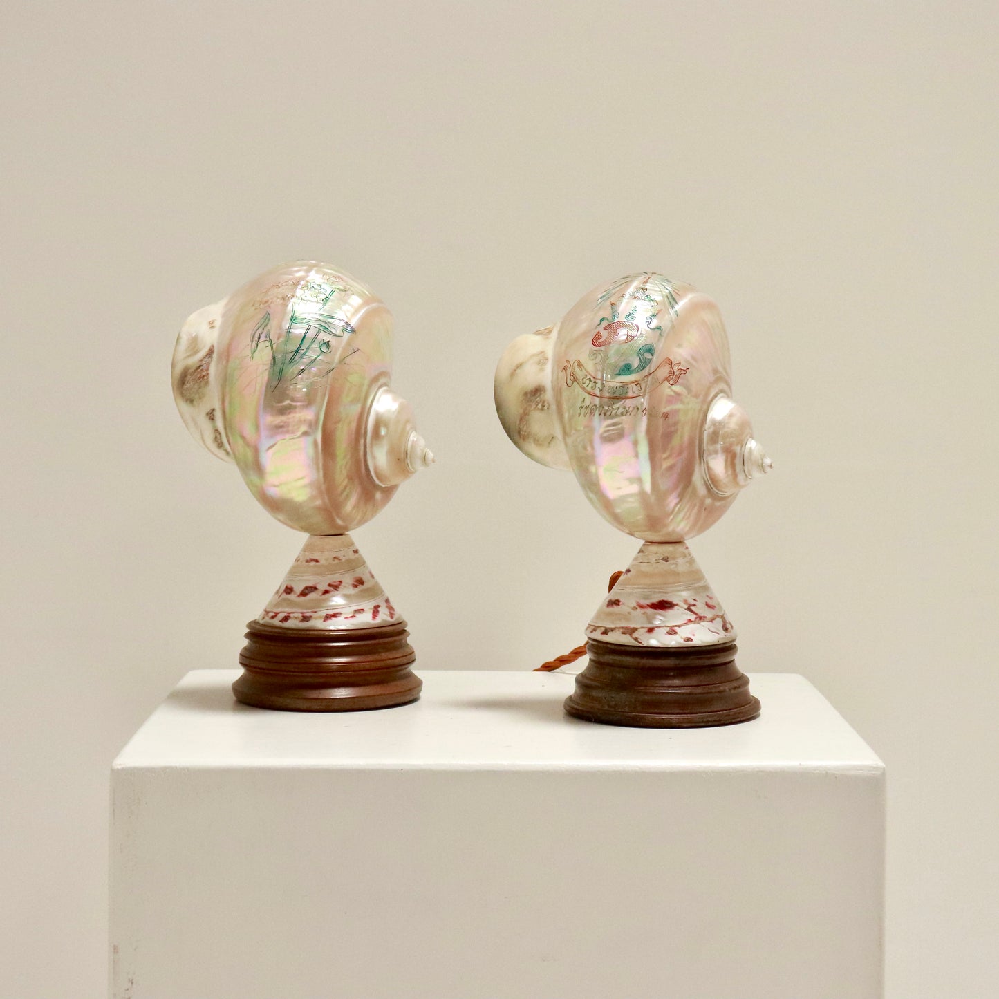 Inscribed Shell Lamps