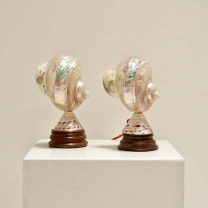 Inscribed Shell Lamps