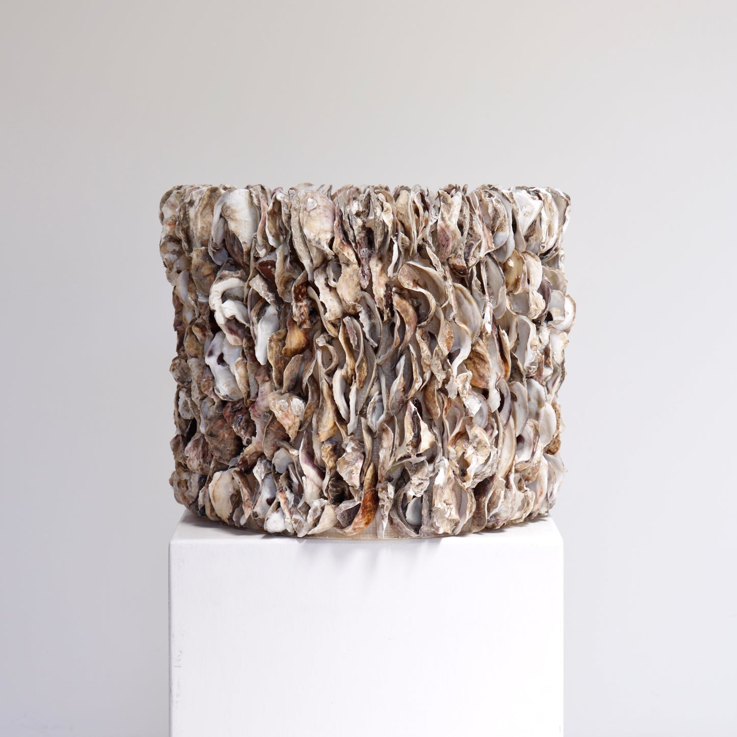 Oyster Shell planter