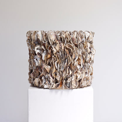 Oyster Shell planter