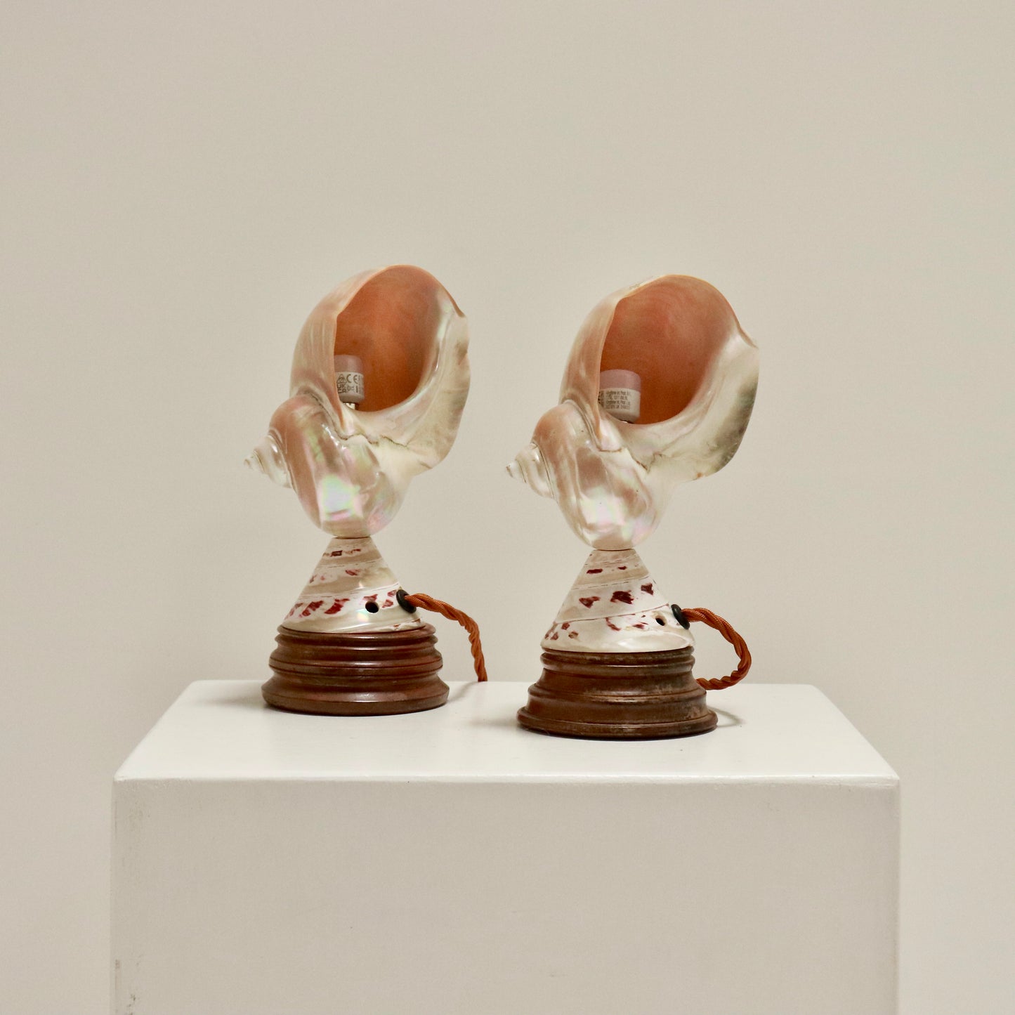 Inscribed Shell Lamps