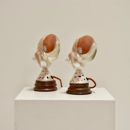 Inscribed Shell Lamps