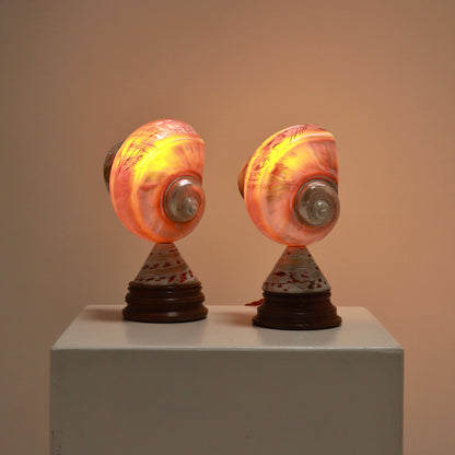 Inscribed Shell Lamps