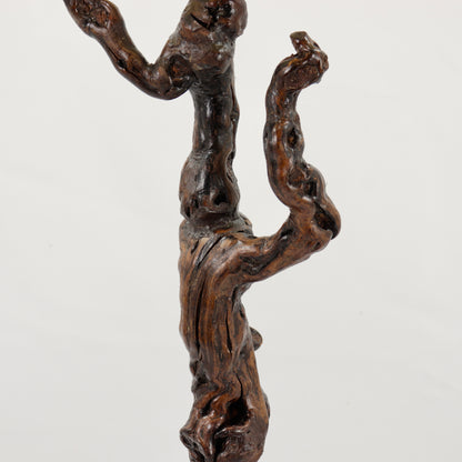 French Vine Root lamp