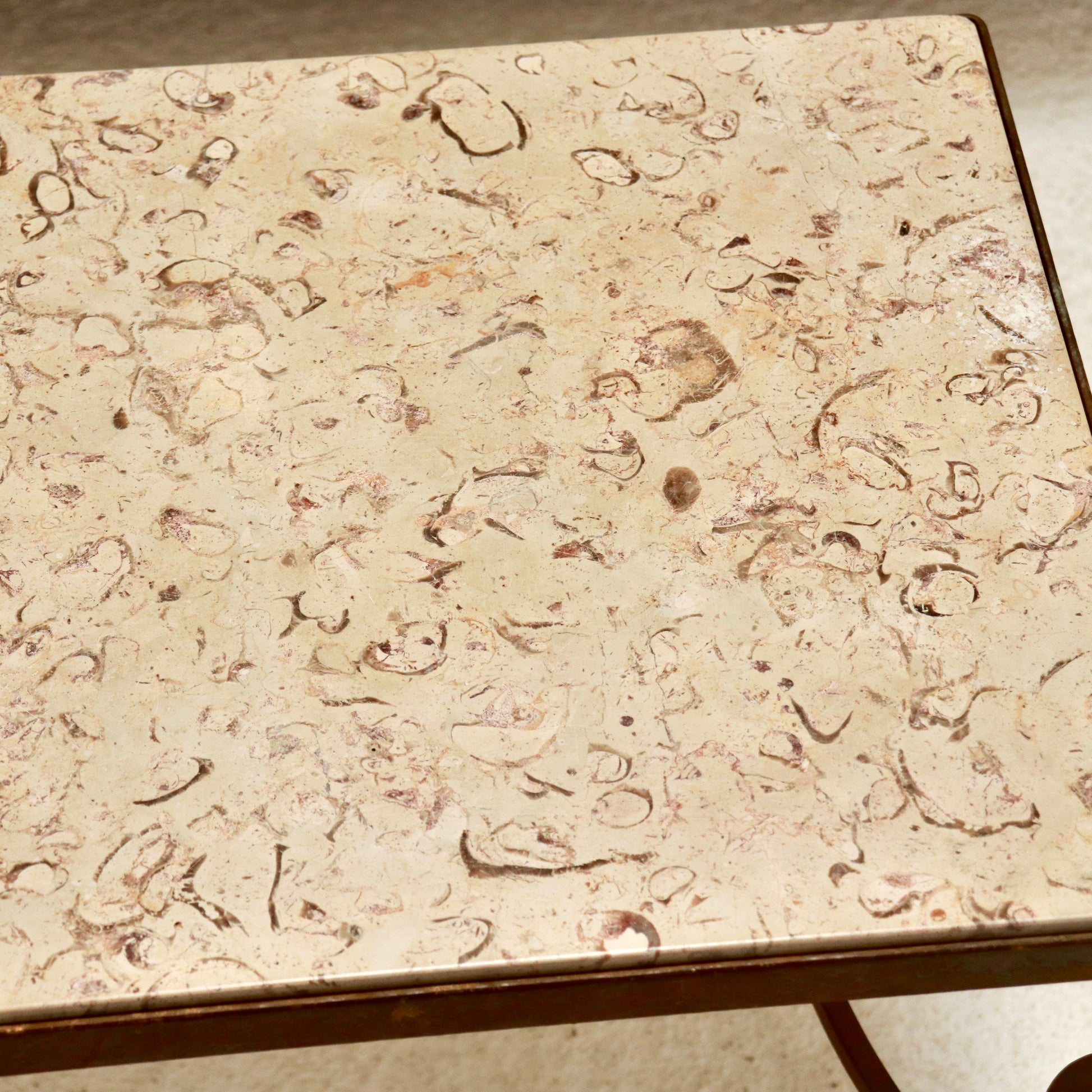 “Close-up of fossil limestone top with shell fragments”