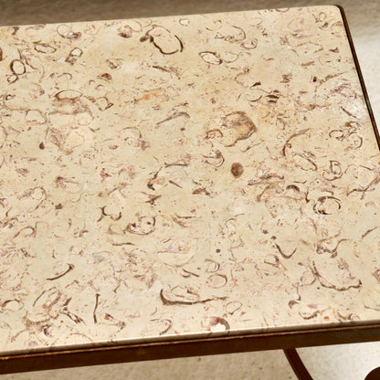 “Close-up of fossil limestone top with shell fragments”