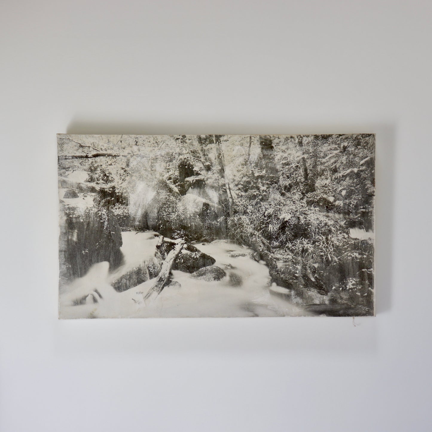 Untitled (Photograph on Canvas)