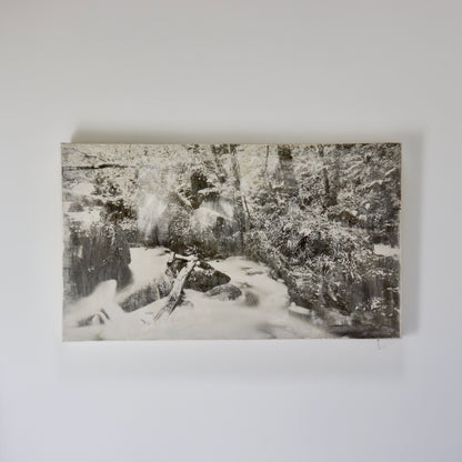 Untitled (Photograph on Canvas)