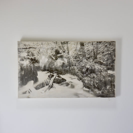 Untitled (Photograph on Canvas)