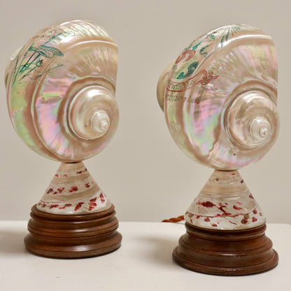 Inscribed Shell Lamps