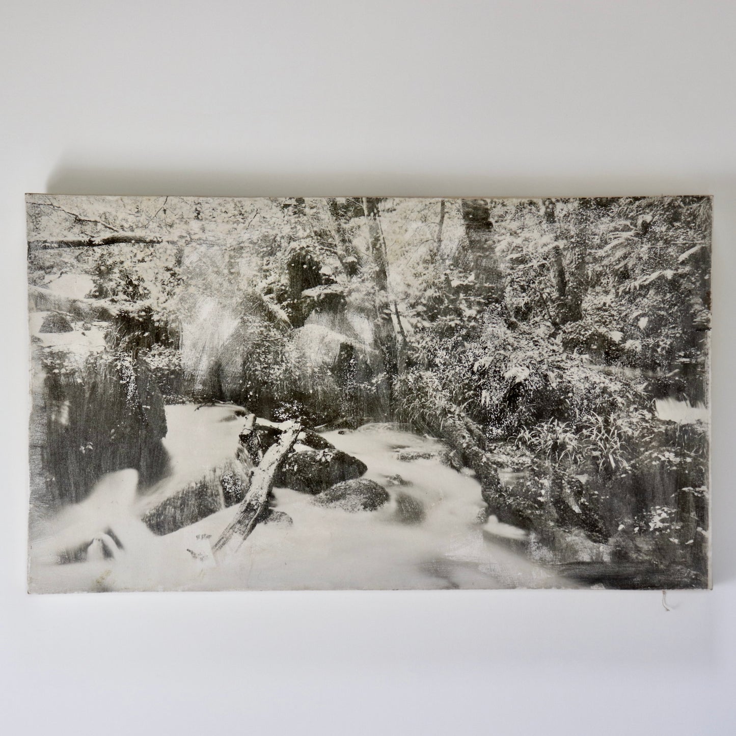 Untitled (Photograph on Canvas)