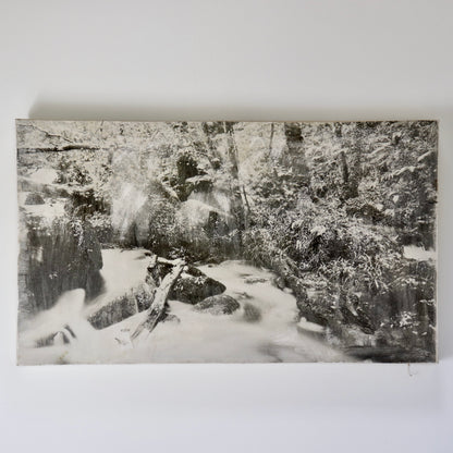 Untitled (Photograph on Canvas)