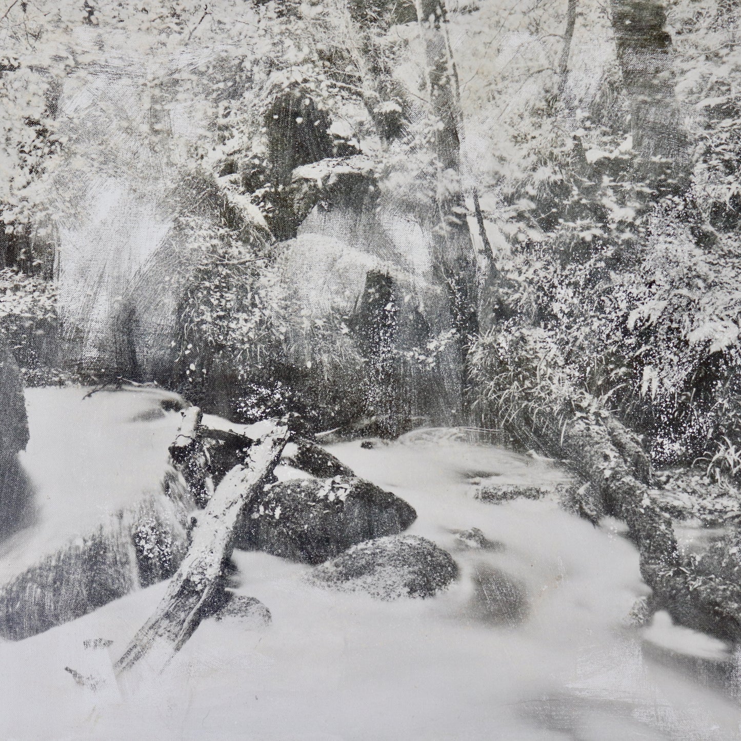 Untitled (Photograph on Canvas)