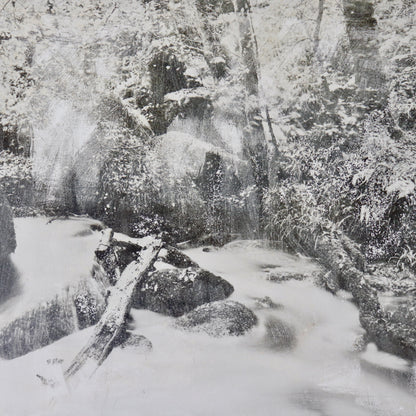 Untitled (Photograph on Canvas)