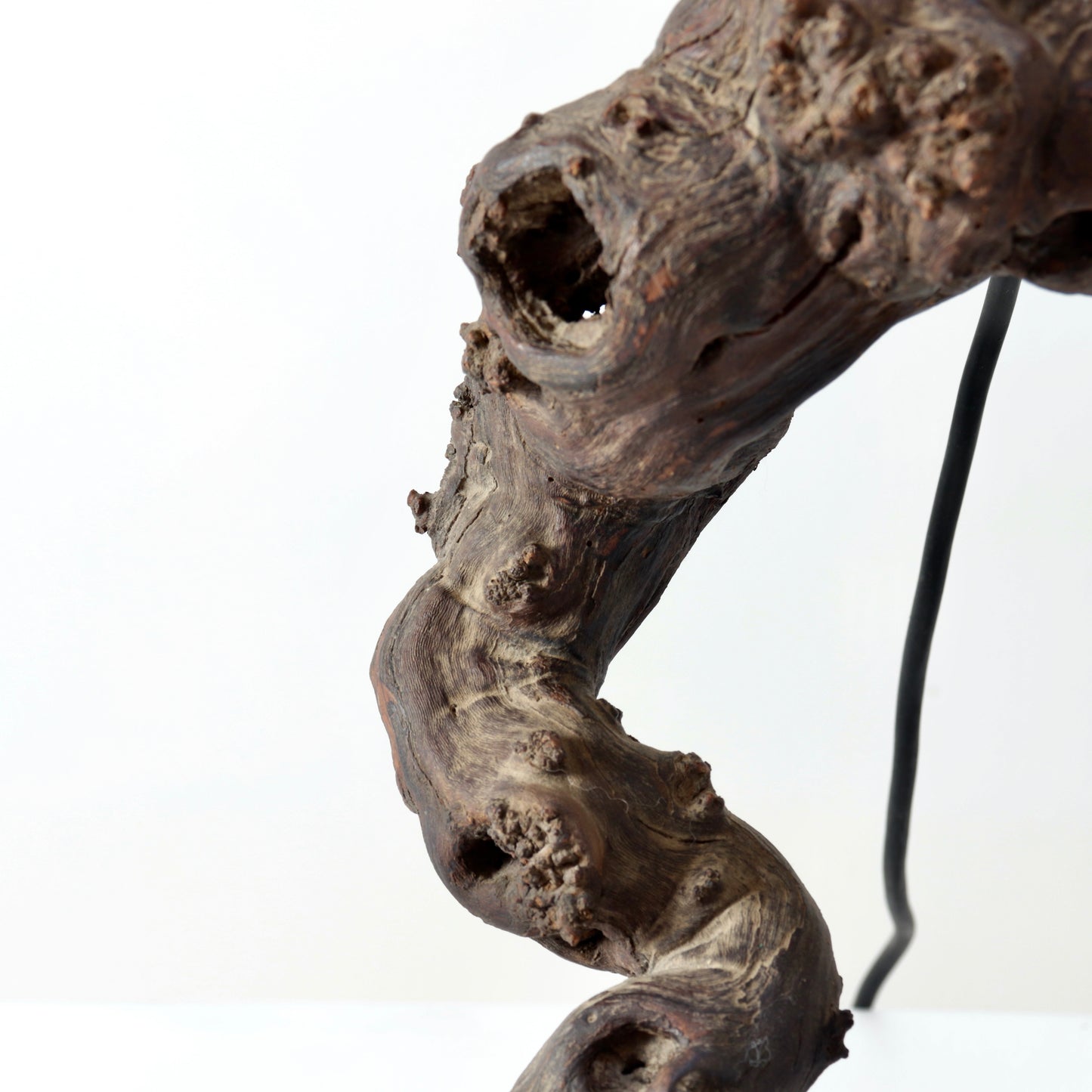 Vintage Italian Olive Root Lamp