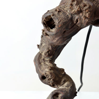 Vintage Italian Olive Root Lamp