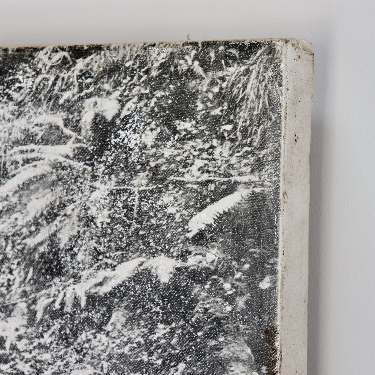 Untitled (Photograph on Canvas)