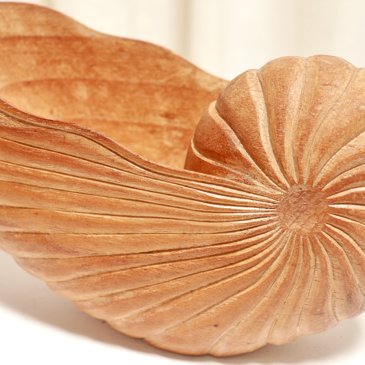 Carved Wood Nautilus Shell Catchall