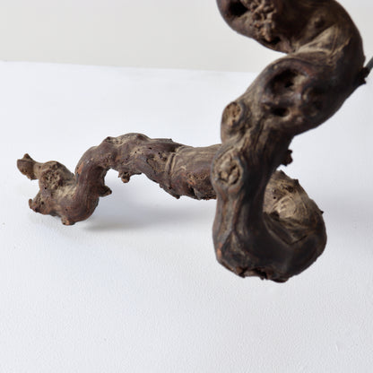 Vintage Italian Olive Root Lamp