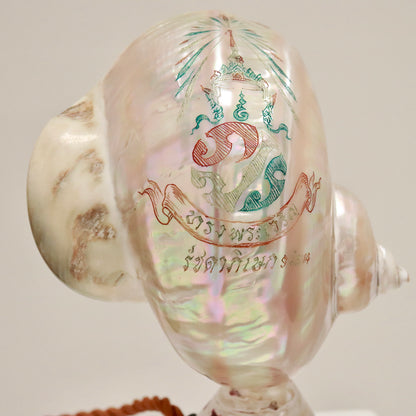Inscribed Shell Lamps