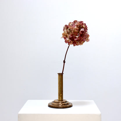 Vintage brass single stem vase on white plinth