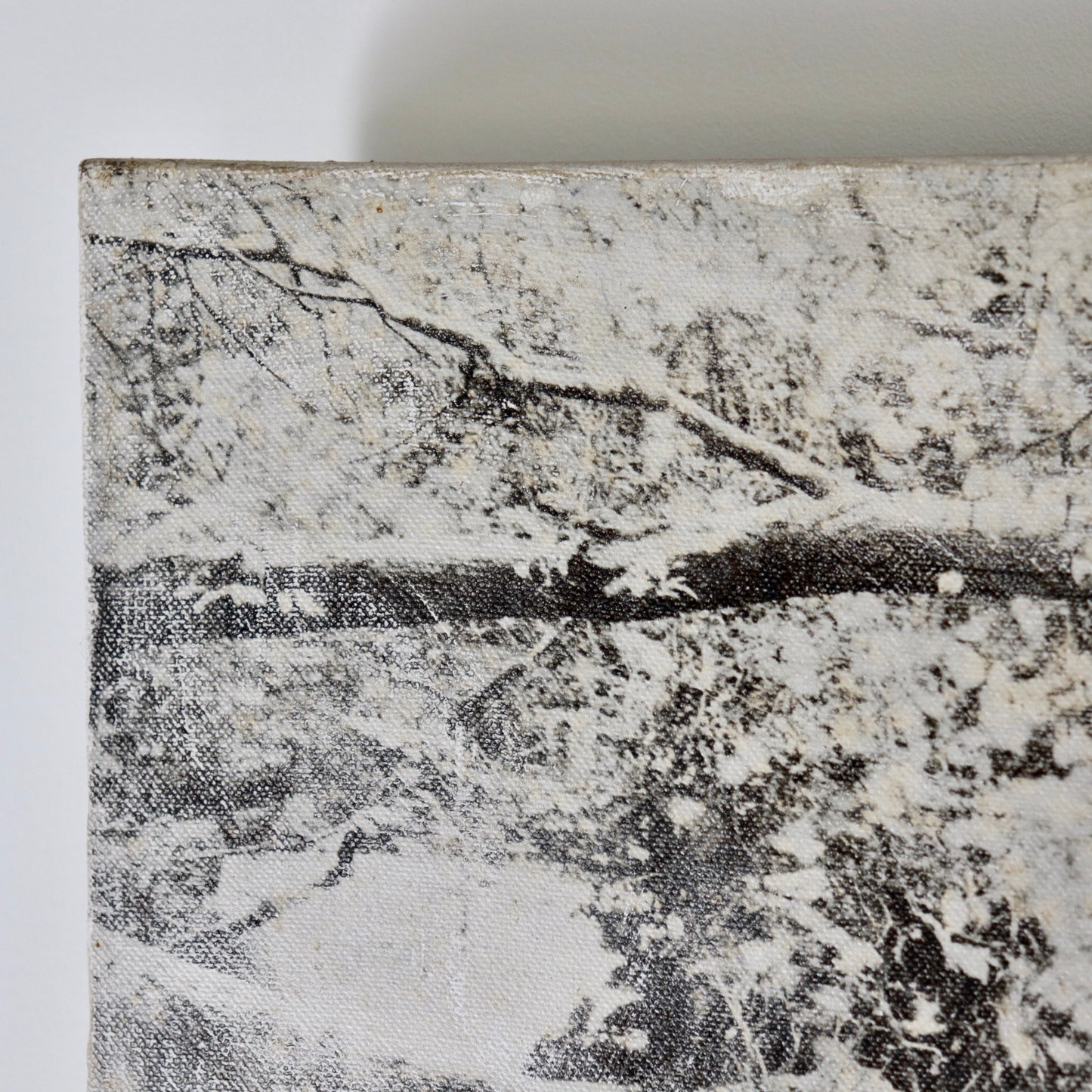 Untitled (Photograph on Canvas)