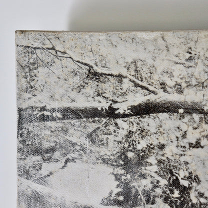 Untitled (Photograph on Canvas)