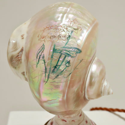 Inscribed Shell Lamps