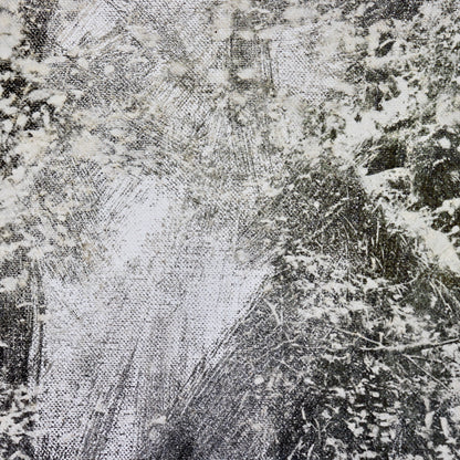 Untitled (Photograph on Canvas)