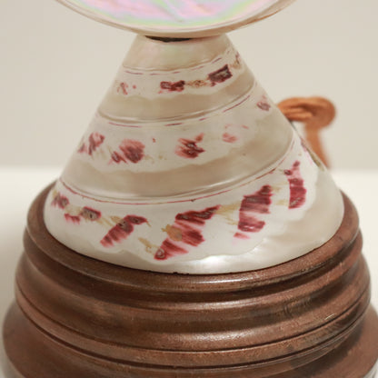 Inscribed Shell Lamps
