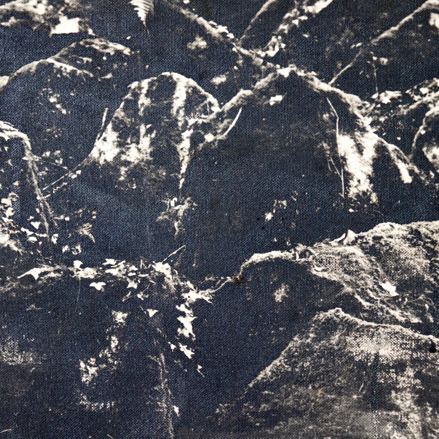 Untitled (photograph on canvas)