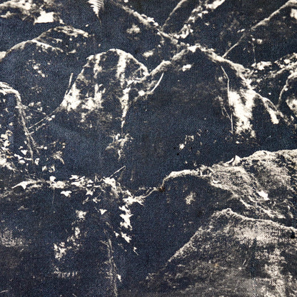 Untitled (photograph on canvas)