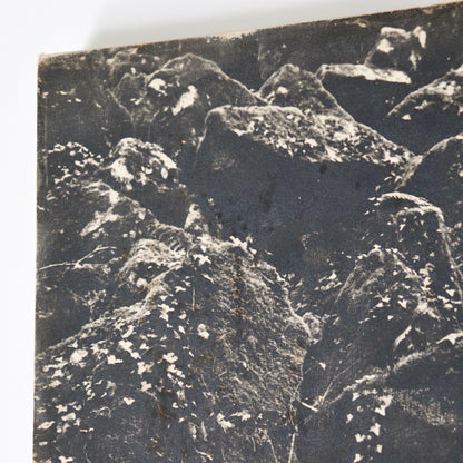 Untitled (photograph on canvas)