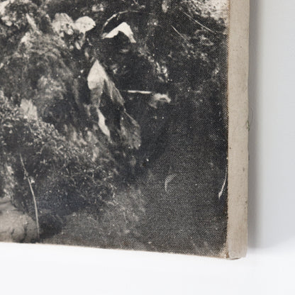 Untitled (photograph on canvas)