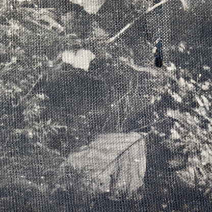 Untitled (photograph on canvas)