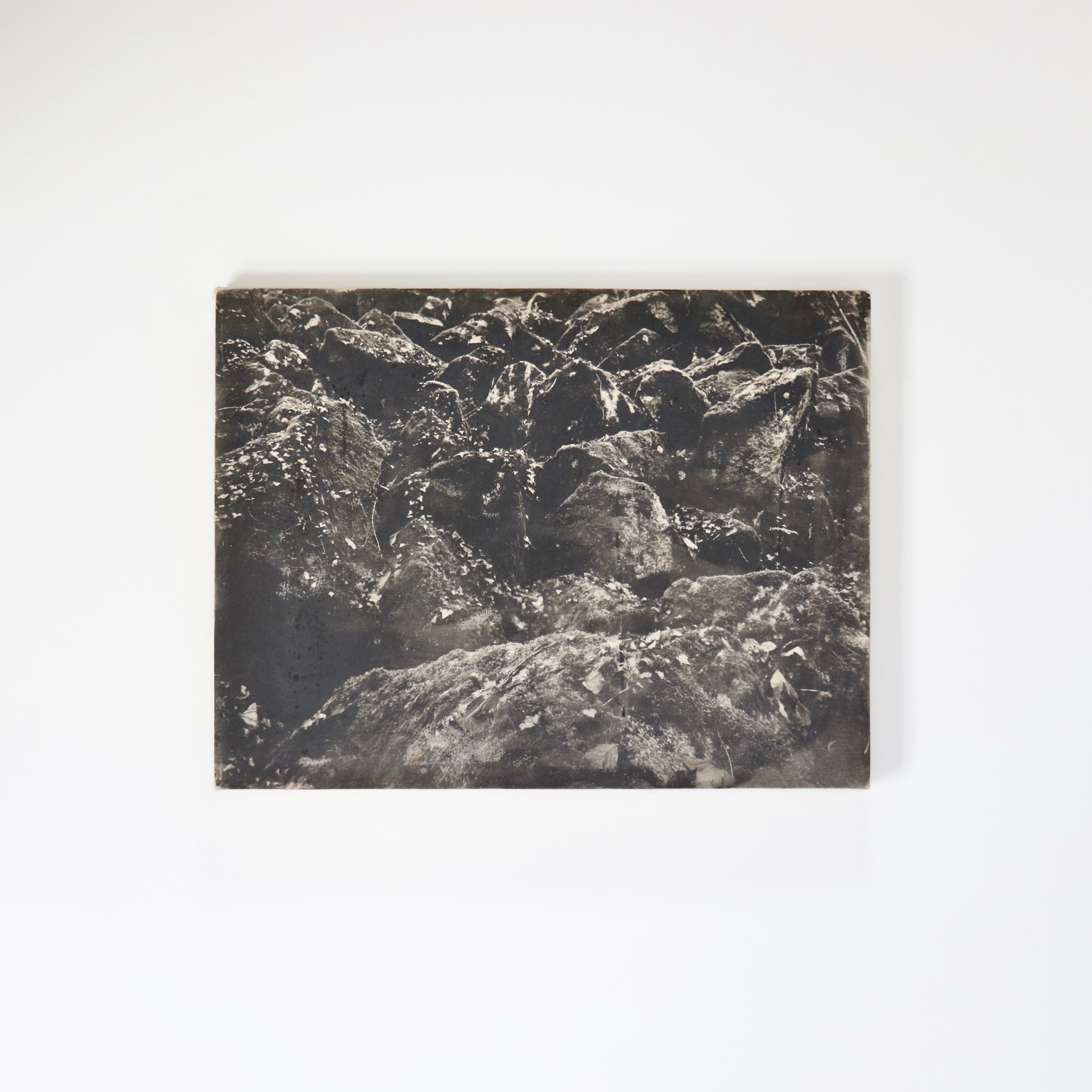 Framed photographic artwork titled Untitled (Lichen Rocks), 1990s. Original black-and-white photo exposed on canvas, depicting abstracted rock forms.