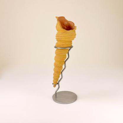 Postmdern shell vase