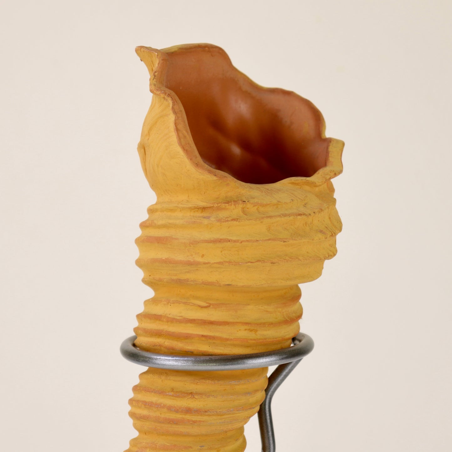 Postmdern shell vase